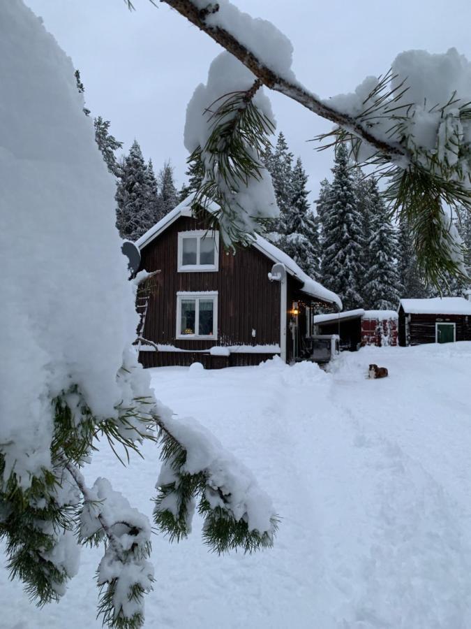 House In Lapland, Överkalix